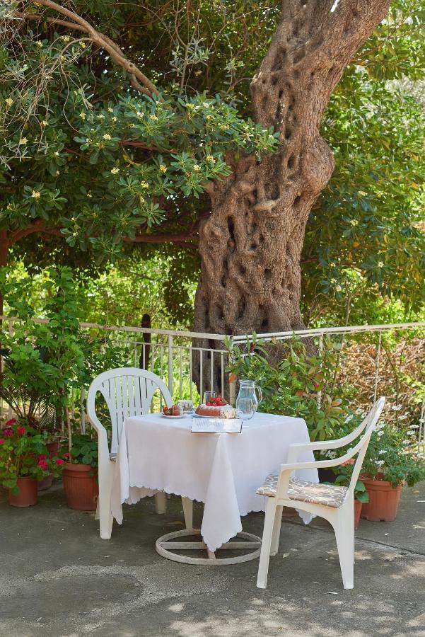 Apartmani Kuca U Maslinama Sveti Stefan Buitenkant foto