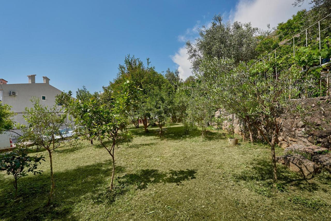 Apartmani Kuca U Maslinama Sveti Stefan Buitenkant foto